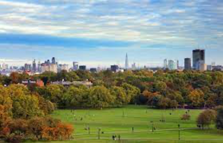 London&#x2019;s parks and plane trees