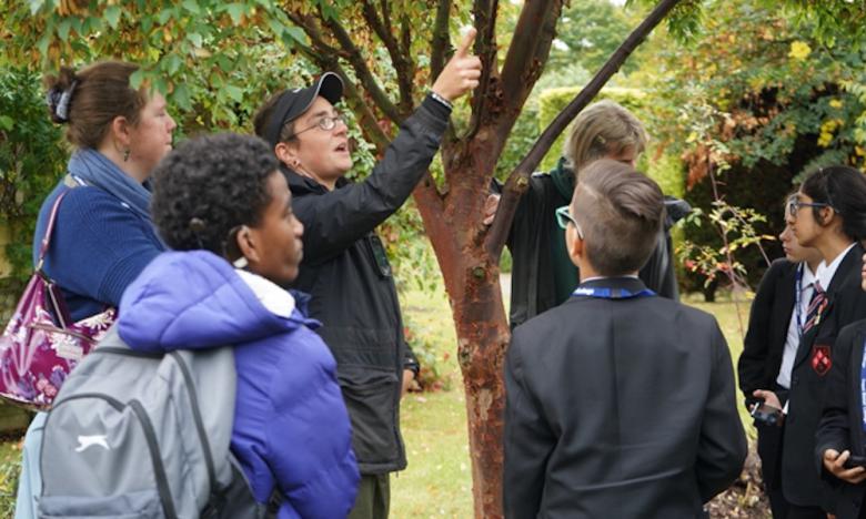 A group of school children and their teacher looking at a tree