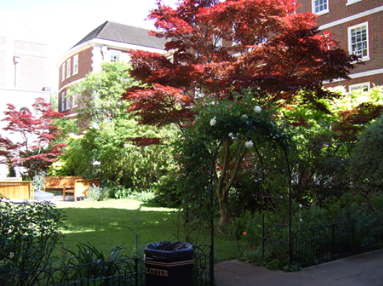 Small Garden 2025 – Elm Court