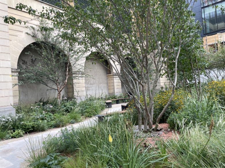 Luder Trophy, Corporation 2025 – Jubilee Gardens