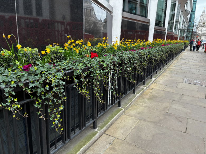 Edmund and Annie Hart Trophy – 30 Cannon Street