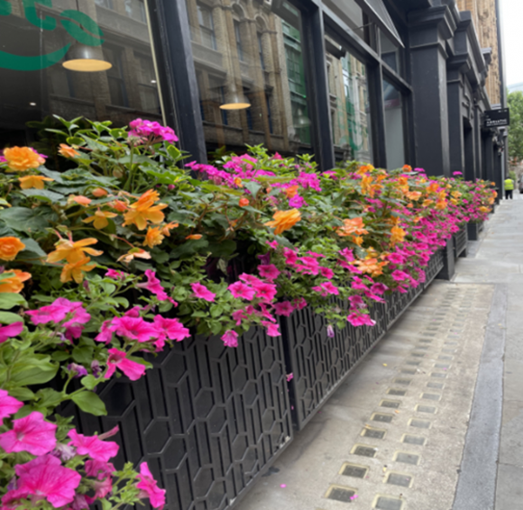 Small Display 2025 – Mitre House