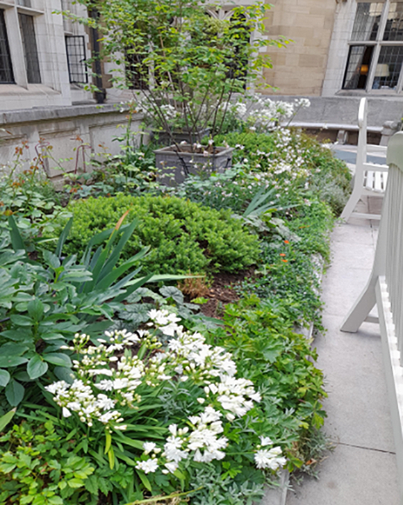 Enclosed Court Yard 2025 – Merchant Taylors Hall