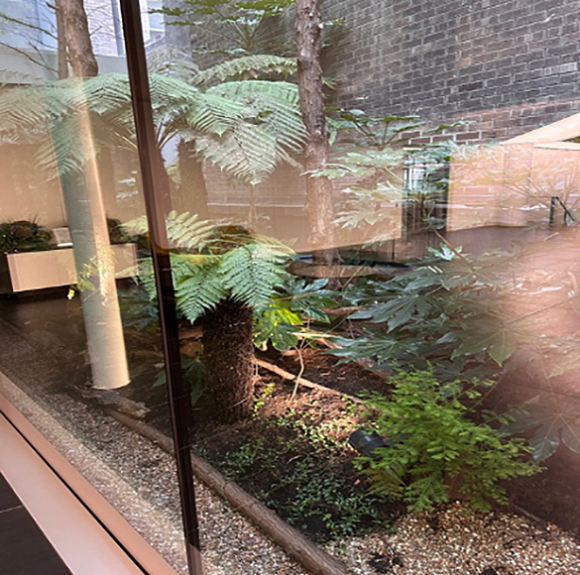 Best Indoor Garden Trophy 2025 – 1 Angel Court