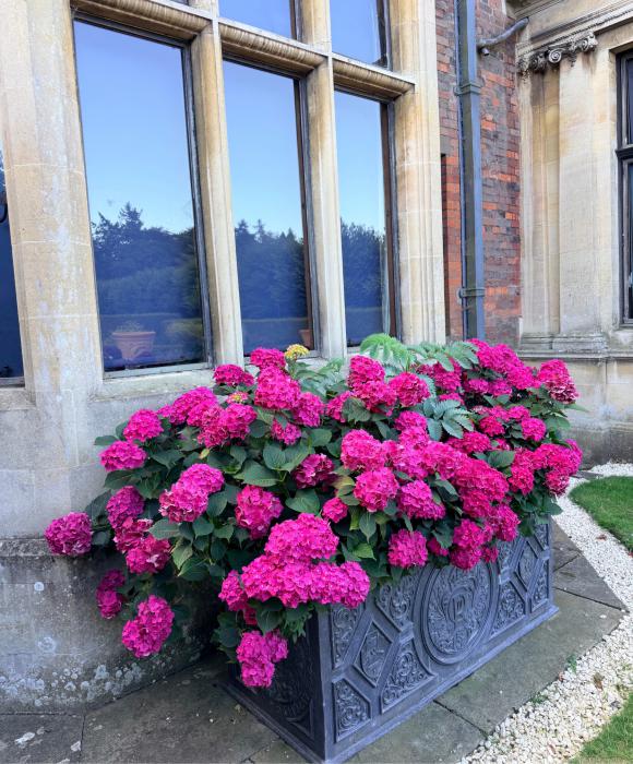 Sandringham Summer 2026